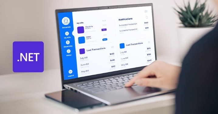 .net custom development
